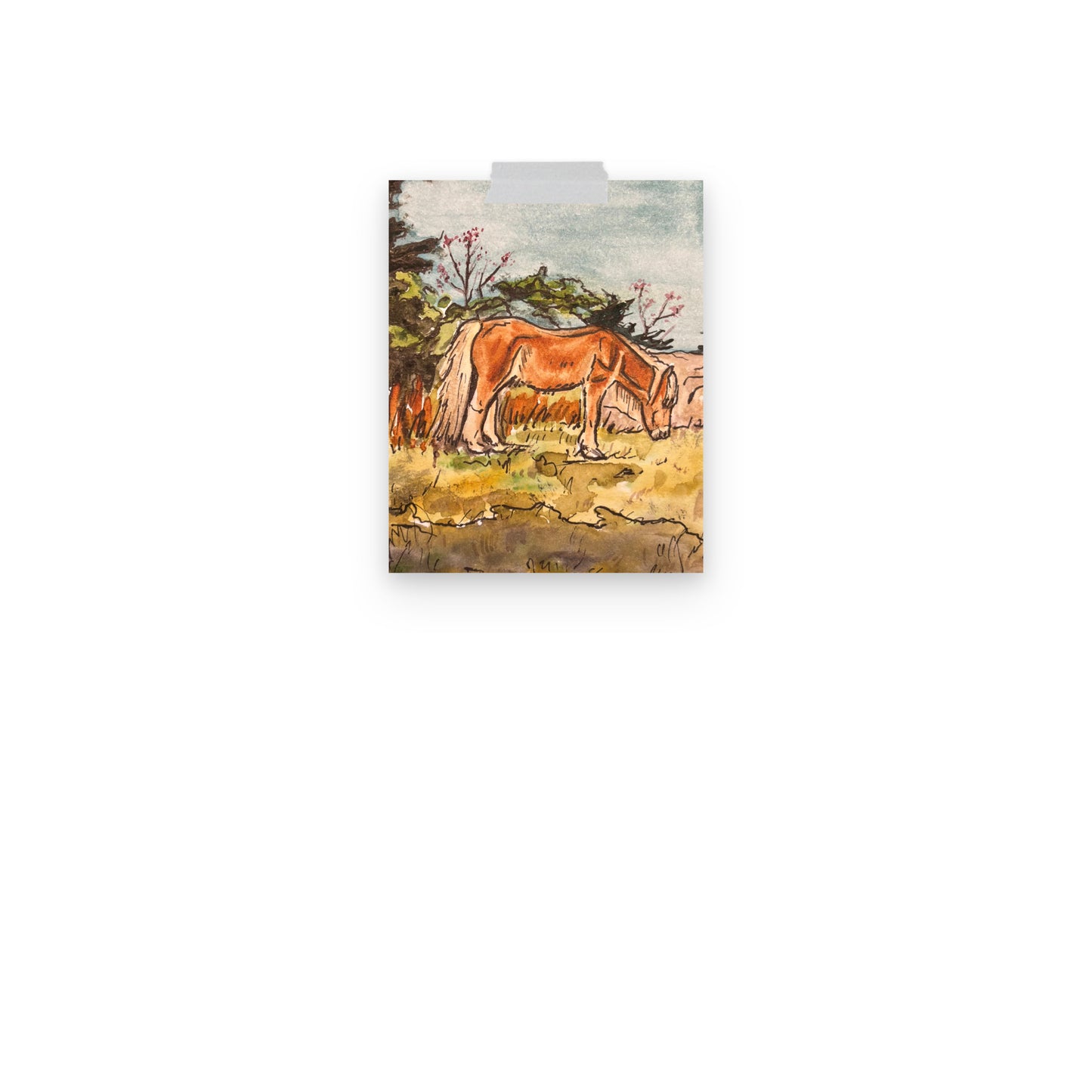 Grayson Highlands Pony Print