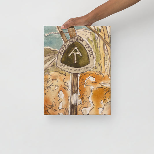White Blaze Canvas Print (12" x 16")
