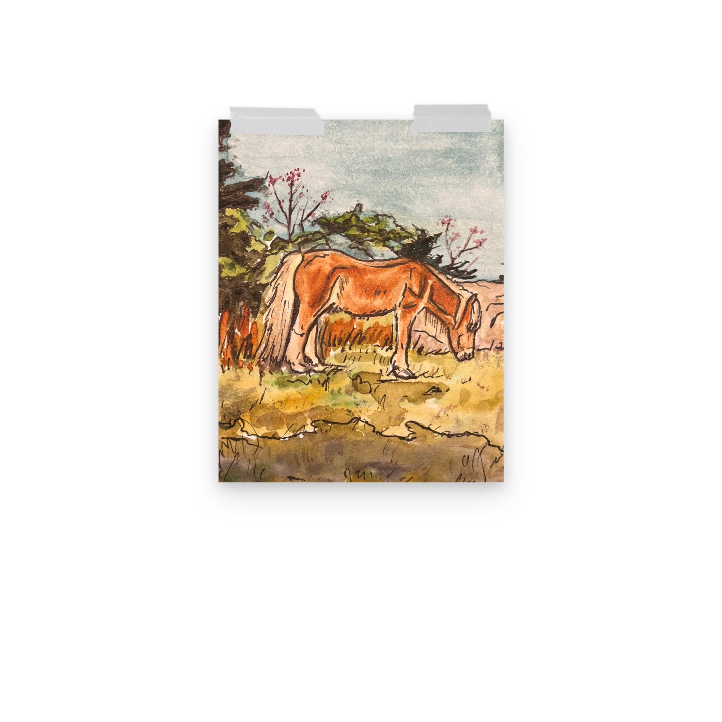 Grayson Highlands Pony Print