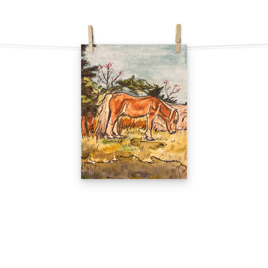 Grayson Highlands Pony Print