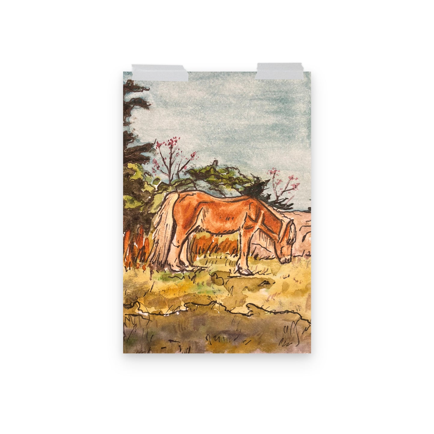 Grayson Highlands Pony Print