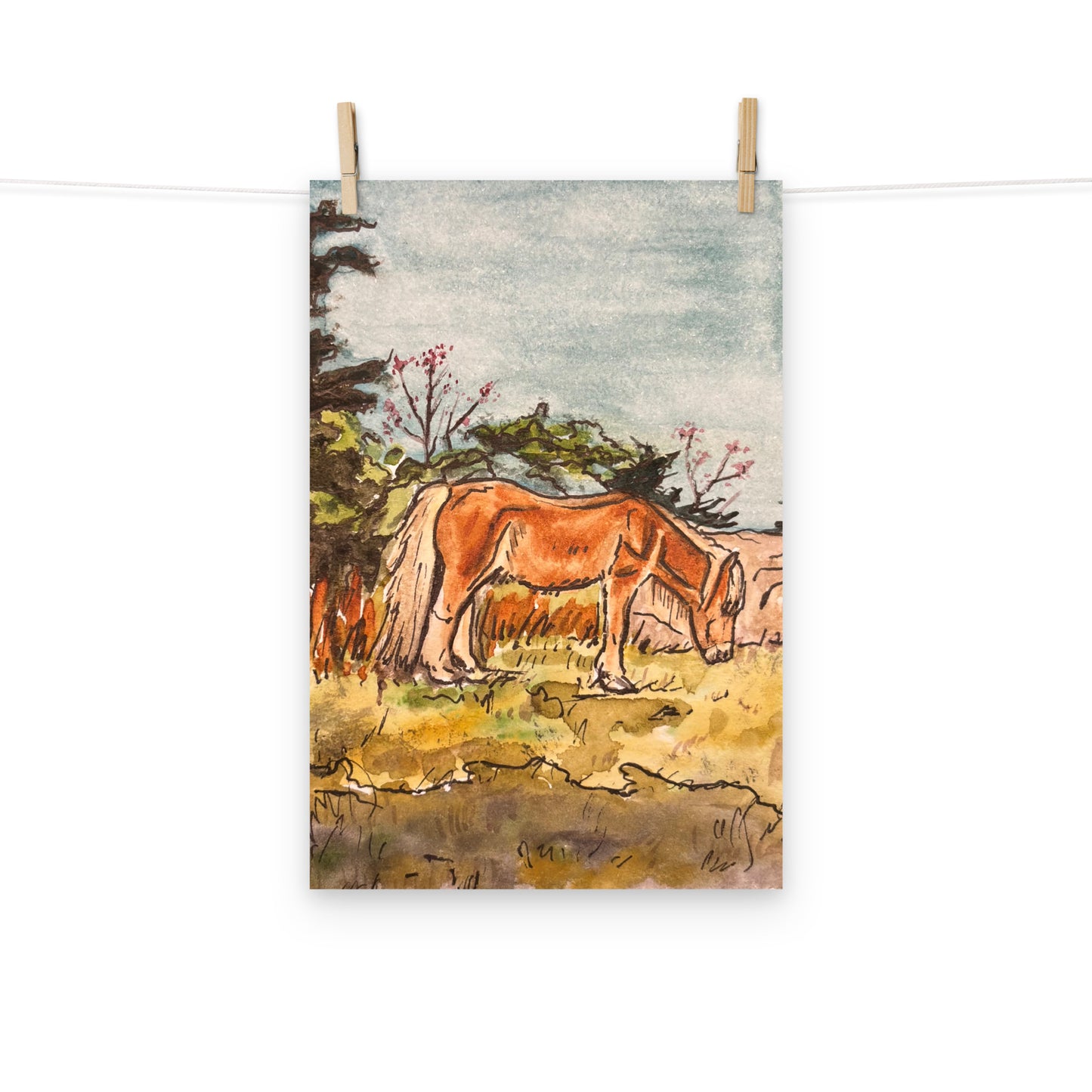 Grayson Highlands Pony Print
