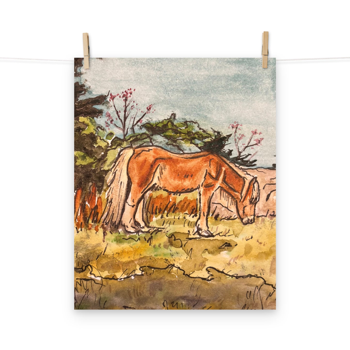 Grayson Highlands Pony Print